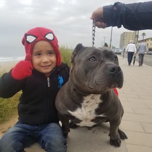 Meet your Posher, Manuel